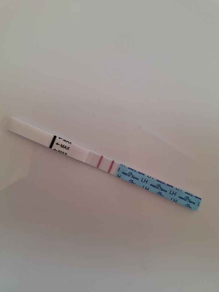 Per chi non le aspetta Maggio,Giugno,Luglio 2024🍀🐞 - 1