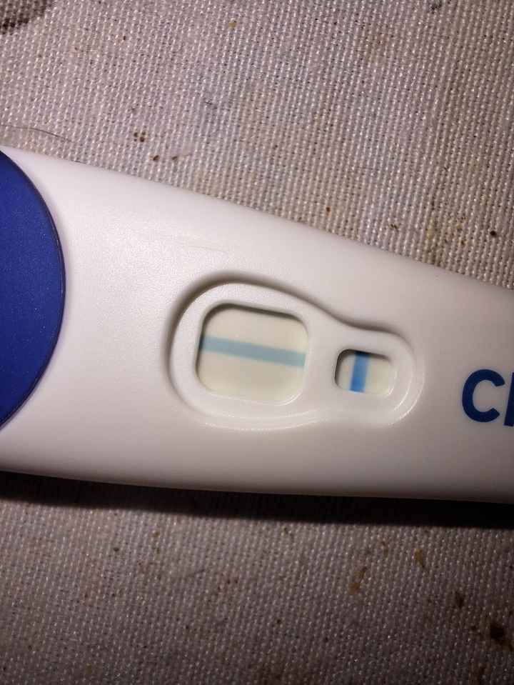 Per chi non le aspetta Maggio,Giugno,Luglio 2024🍀🐞 - 1