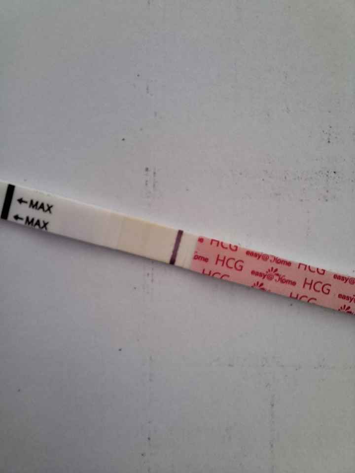 Per chi non le aspetta Maggio,Giugno,Luglio 2024🍀🐞 - 1