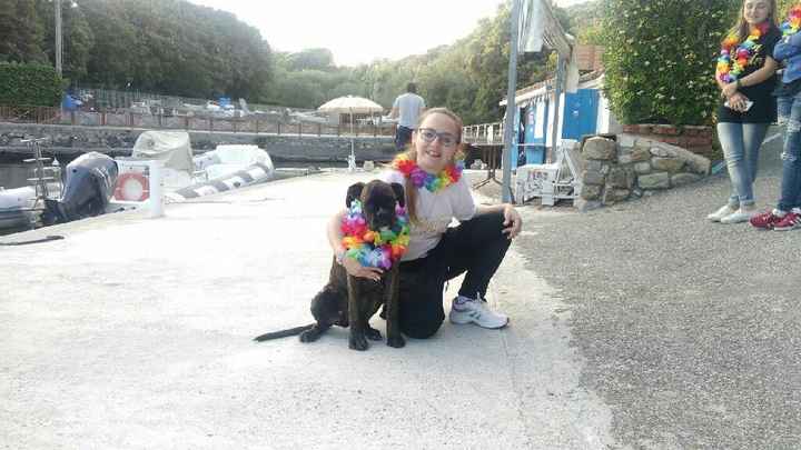 Addio al nubilato meraviglioso - 2