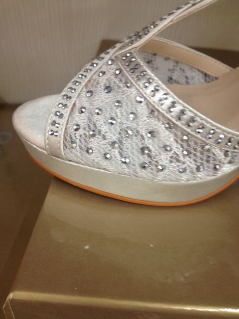 Tra i due litiganti il terzo gode: ecco le mie scarpe! - 3