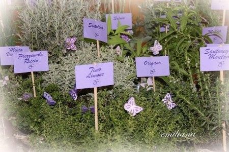 idea x tableau farfalle