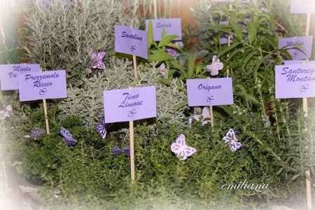 idea x tableau farfalle