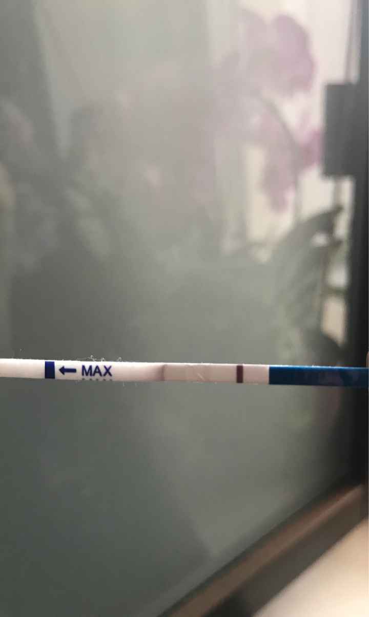 Ghost line o positivo? - 2