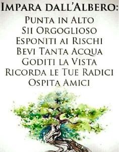 Tema viaggio e bomboniere bonsai - 1