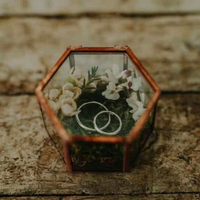 Il vostro portafedi ? 6