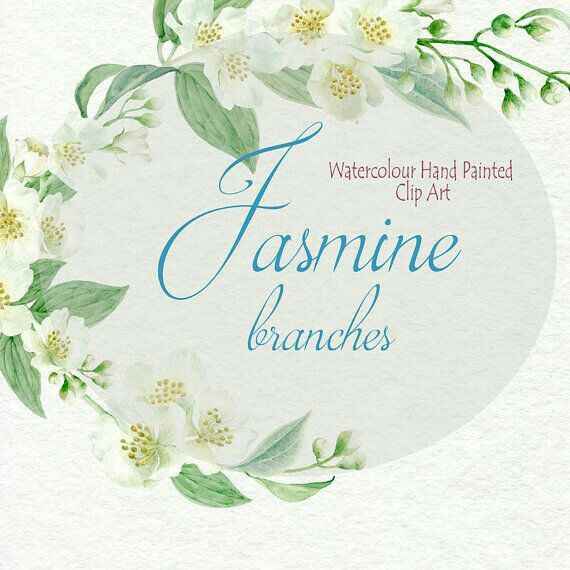 Partecipazioni con Gelsomino - 2