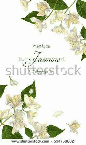 Partecipazioni con Gelsomino - 3