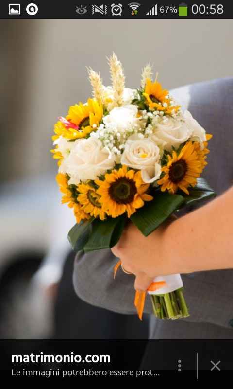 Non so quale scegliere - 3