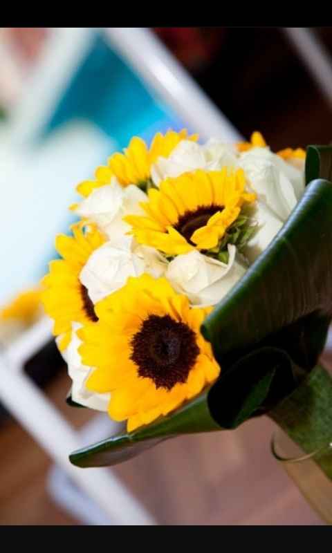 Non so quale scegliere - 6