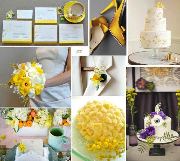 Wedding tema mimosa - 7