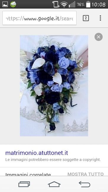 Buongiorno ragazze ke fiori state scegliendo x il vostro bouquet e in genere x gli addobbi? io mi sp
