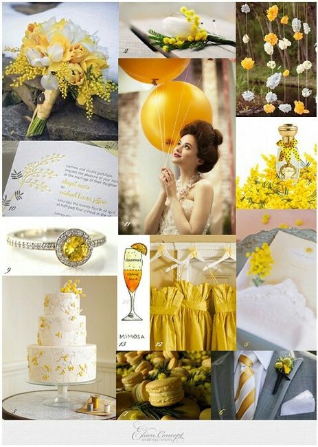 Wedding tema mimosa - 3