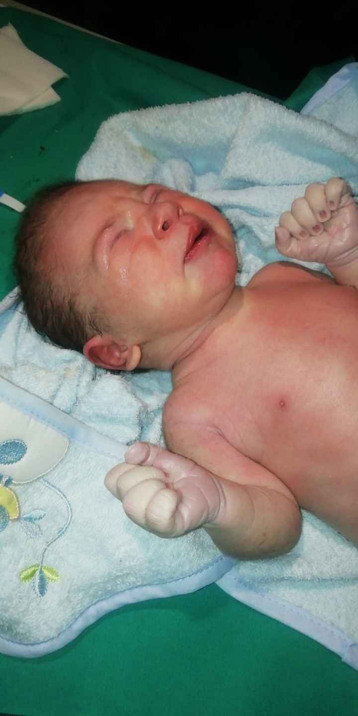 Mammine di febbraio 2020 - 1