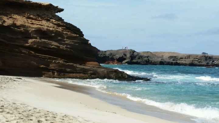 Fuerteventura o crociera? - 1