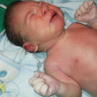 Mammine di febbraio 2020 - 1