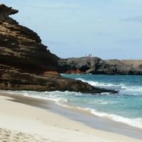 Fuerteventura o crociera? - 1