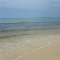 Fuerteventura o crociera? - 5