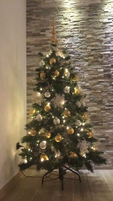 Il ns primo albero da mr. and mrs - 1