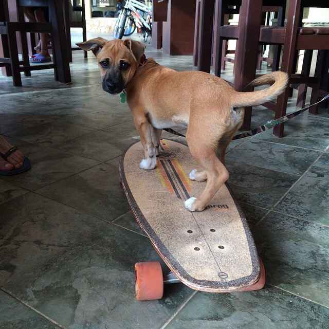 Io....luiii....e il nostrooo totÒ? - 1