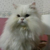 I nostri cuccioli!!! - 2