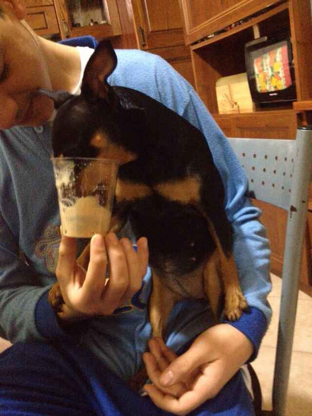 Le foto dei vostri animali - 2