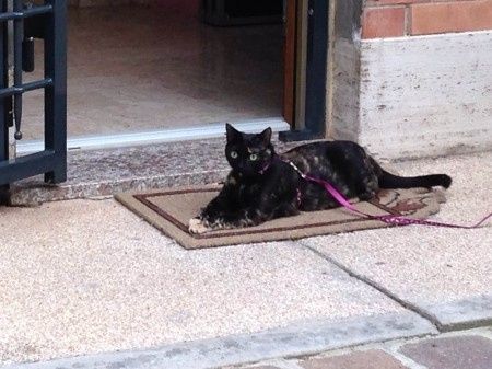 Maia ma la chiamiamo Bigiulotta