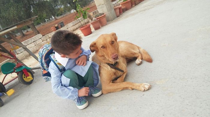 Vivere anche con un amico a quattro zampe... - 1