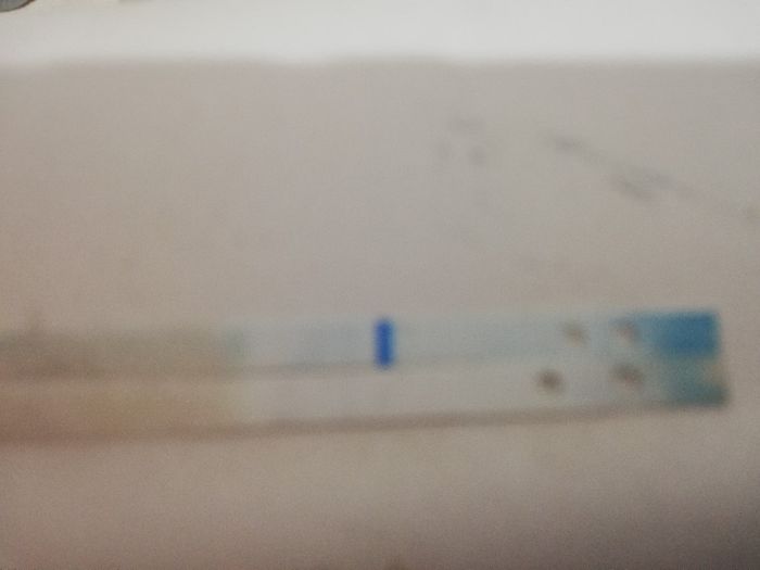 Seconda linea si o no? 4