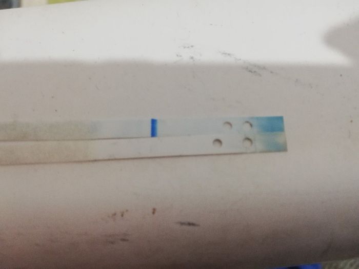 Seconda linea si o no? 3