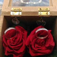 Il mio portafedi - 1