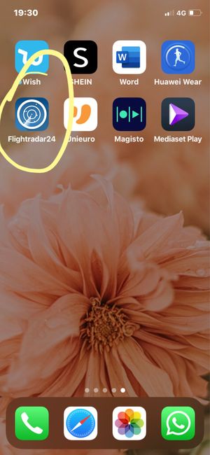 Help!!🤦🏻‍♀️🤦🏻‍♀️ USA e Caraibi questo maggio 1