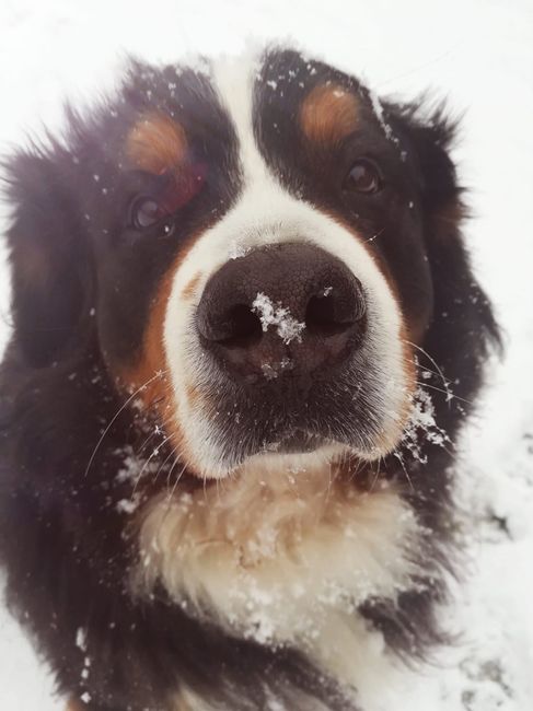 C’er una volta il 24 Marzo 📖 👰 🤵 8