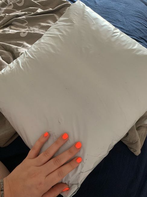 è arrivato un cuscino 😅 1