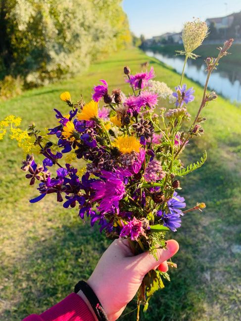 Allestimento con fiori di campo? - 1