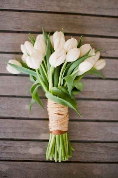 Tulipani nel bouquet! - 1