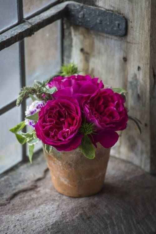 Dopo l’abito.... fioriiiiii 🌷 🌹 🌺 - 4