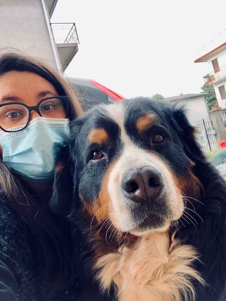 Affetti stabili 🥰 - 1