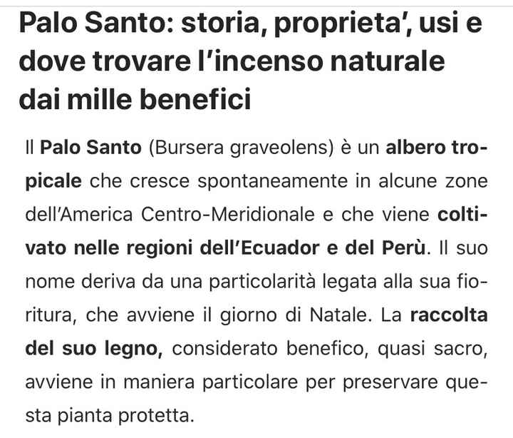 Per chi ama le cose naturali: il palo santo - 13