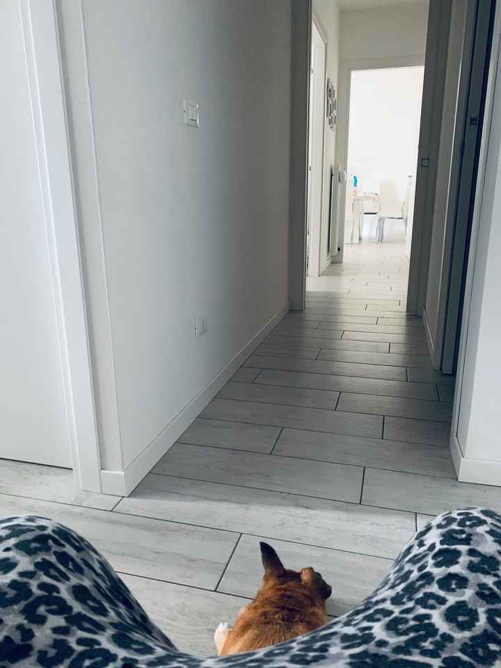 Come sono i pavimenti e le pareti della vostra casa? - 6