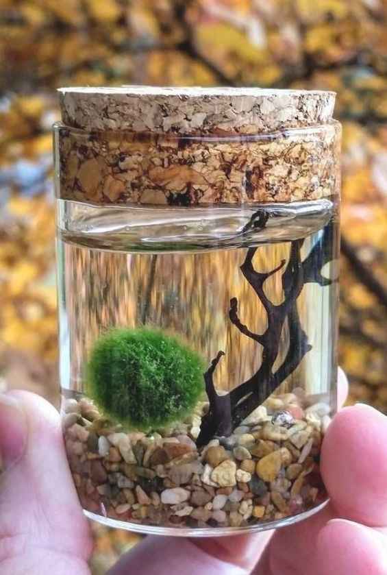 Alternativa al rito della sabbia/candela 🥰 - 7