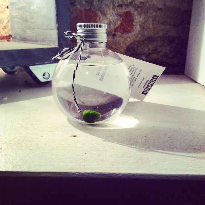 Alternativa al rito della sabbia/candela 🥰 - 9