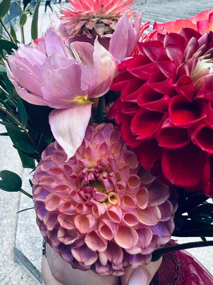 Dalia, questa sconosciuta! - 2