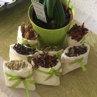 -10 nervosismo e fai da te - 3