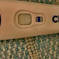 Chi non le aspetta per Maggio 2020 - 1