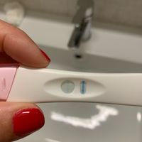 Chi non le aspetta per Maggio 2020 - 1