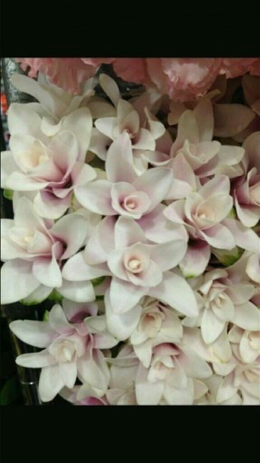 Che ne dite questi bouquet? - 2