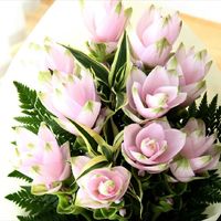 Che ne dite questi bouquet? - 1