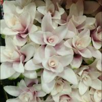 Che ne dite questi bouquet? - 2