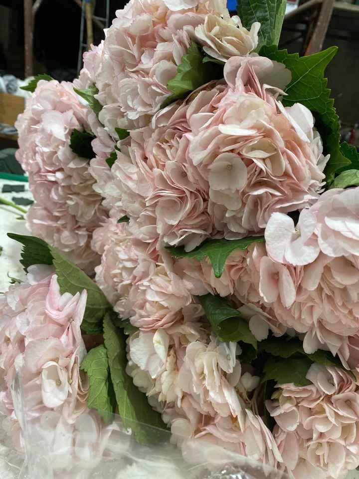 L'eleganza della Gypsofilia - 2